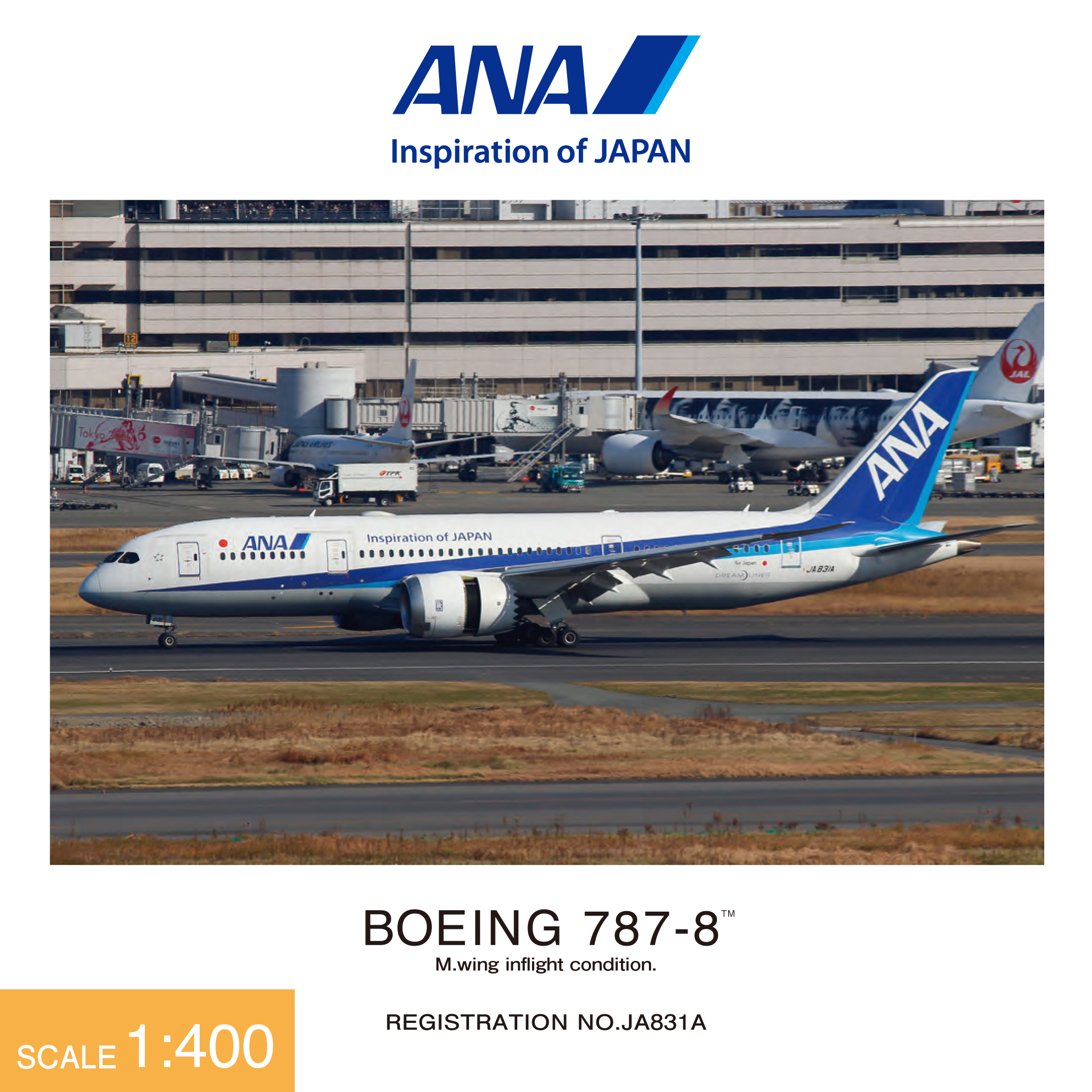 ANA モデルプレーン NH40116 1:400 B787-8 JA831A - その他